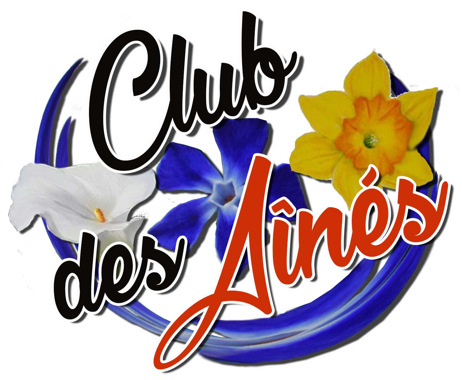 Lire la suite à propos de l’article Le club des Aînés de Morlhon